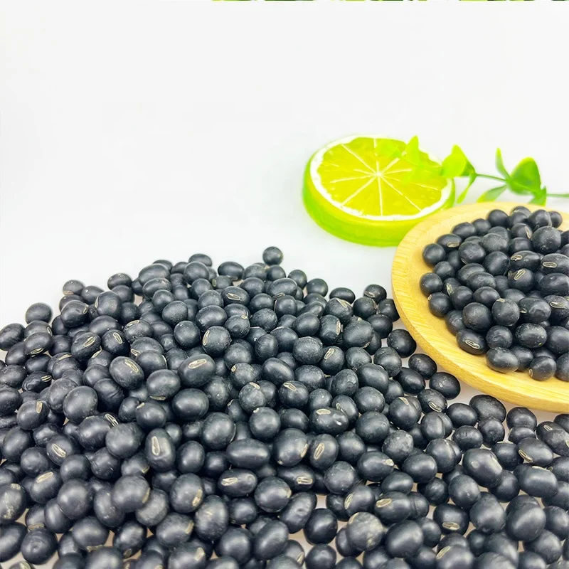 New Crop China Original NON GMO Black Bean With Green/Yellow Kernel For Porridge OR Milk