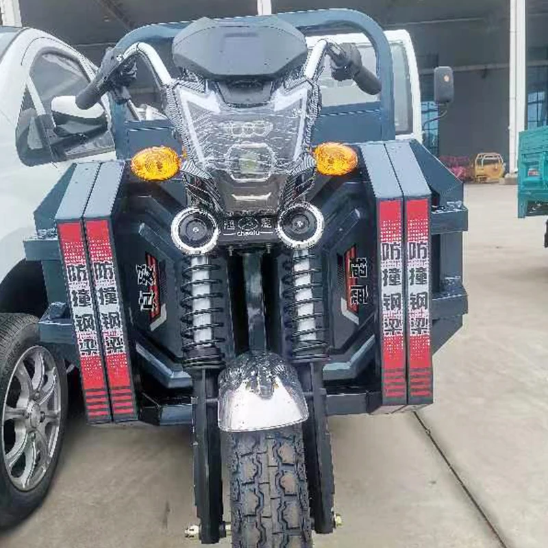 High quality Favorable Long Endurance ElectricSupplying 3 wheel approval auto Electric powered electric tricycle for elderly