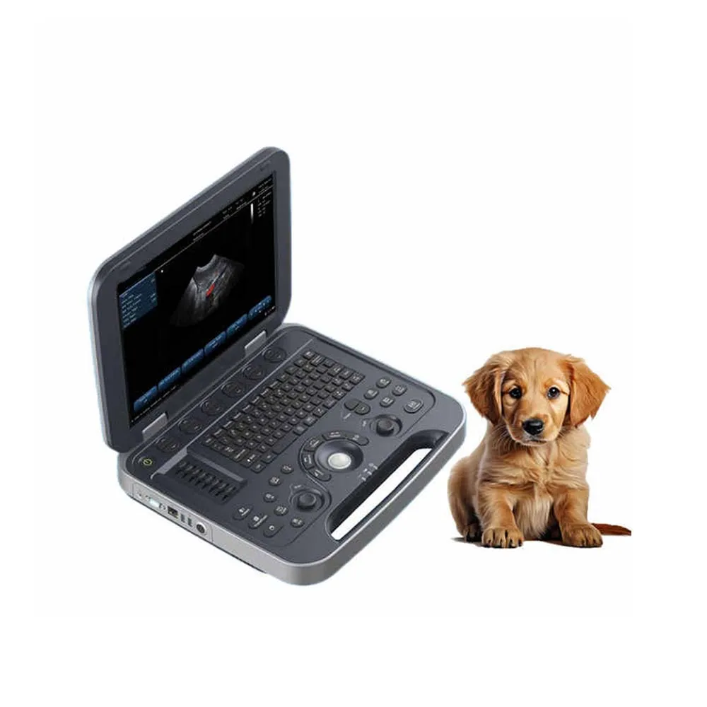 Low price Laptop Veterinary Ultrasound Scanner VET Full Digital Ultrasonic Diagnostic System