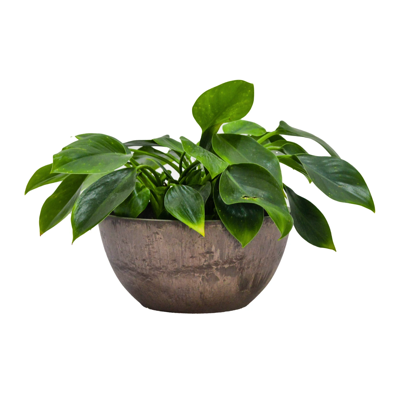 Natural stone pattern unbreakable Resin Flower Pot  Green Europe Style Time Lead Modern VASE Floor Garden Plant