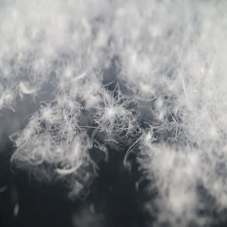 
Goose feather / White Goose Feather/Natural raw 60% White Washed Goose Duck Down Feather 