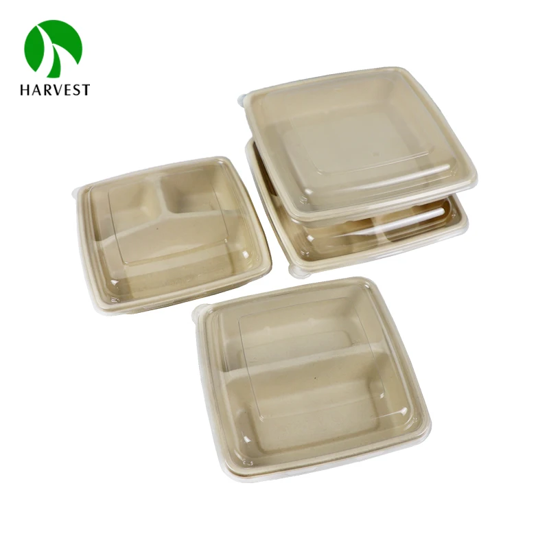 Bagasse 8x8 inch 2 Compartment Sugarcane Pulp Fiber Food Packaging Lunch Box Container With Lid
