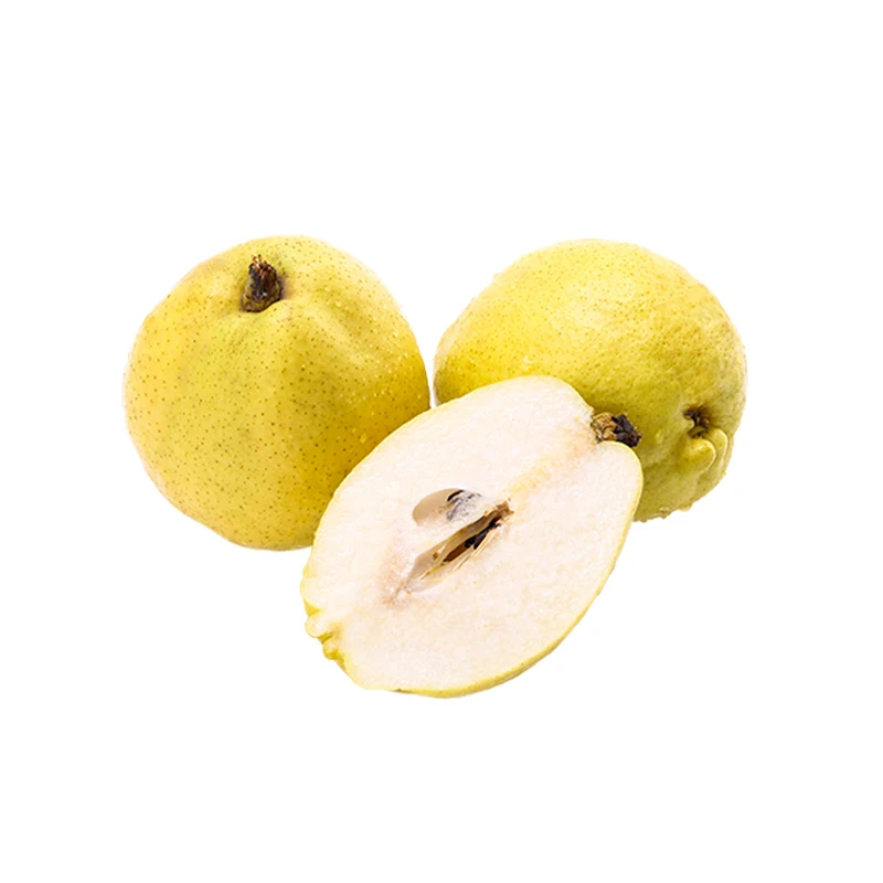 High Quality Fresh Fruit Sweet Nutrition Pear