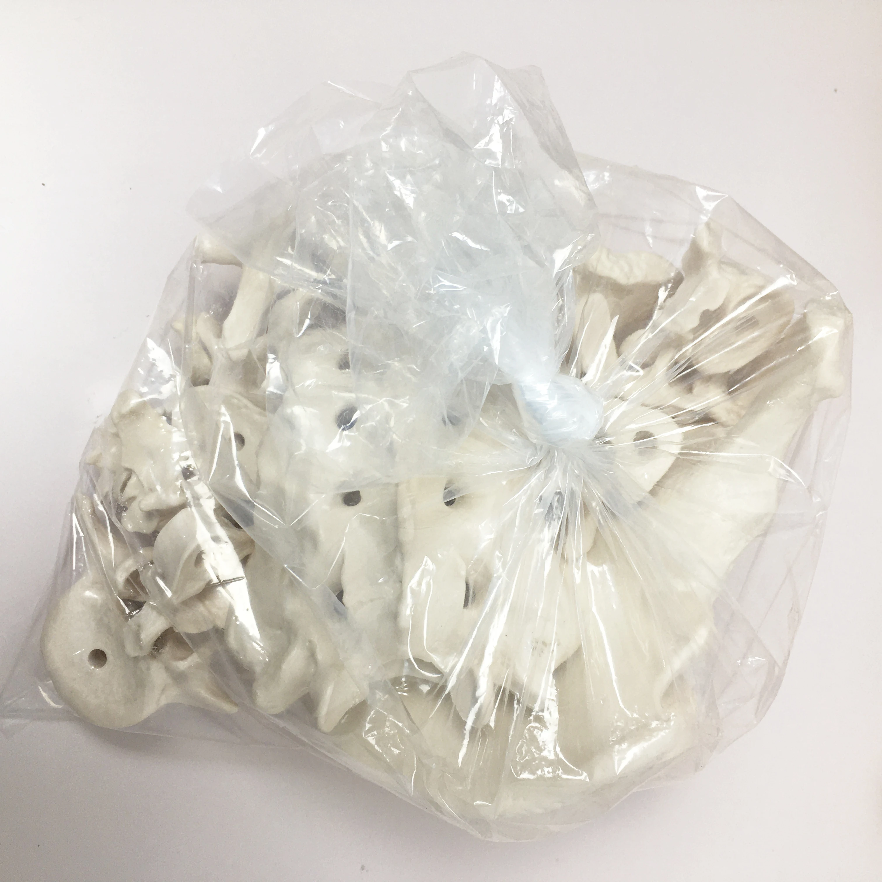 Hospital Medical PVC School Teaching Disarticulated Human Whole Body Scattered Bone Anatomy Skeleton Model With 3-Part Skull