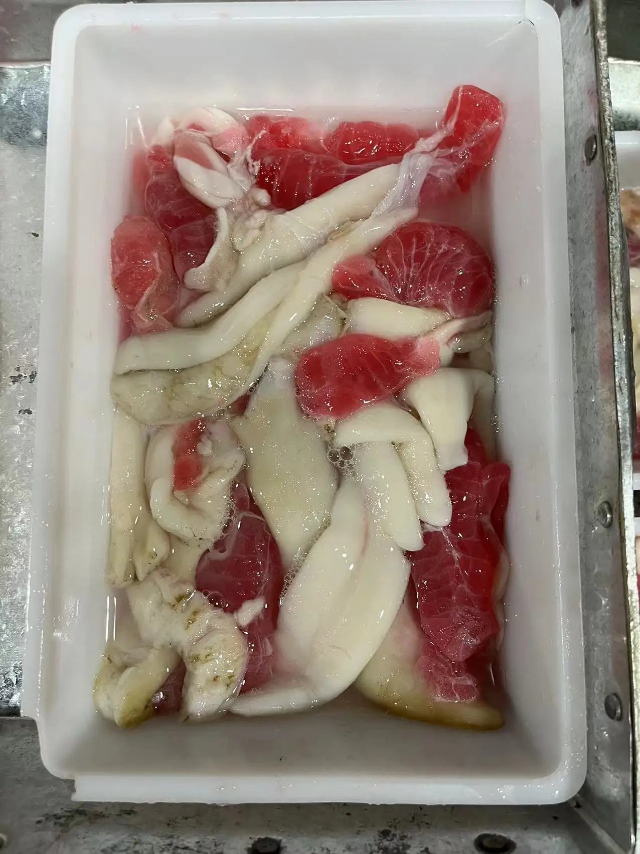 frozen Indian squid roe /indian squid egg / squid meat