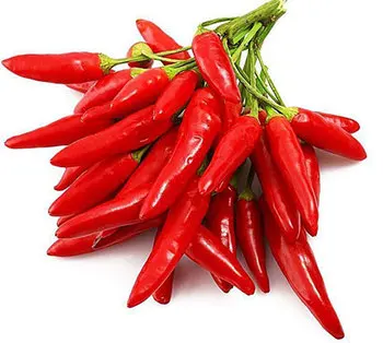 Premium Quality Standard Fresh Red Chili Spices 100% Pure Fresh Hot Chili Pepper At Low Price