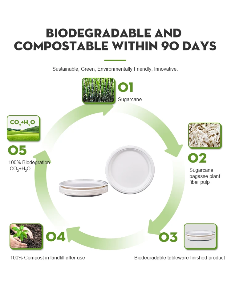 BIOSANO Custom Sugar Cane Fibers 10 Inches 3 Compartment Parties Wedding Special Events  Bagasse Food Container Round Trays