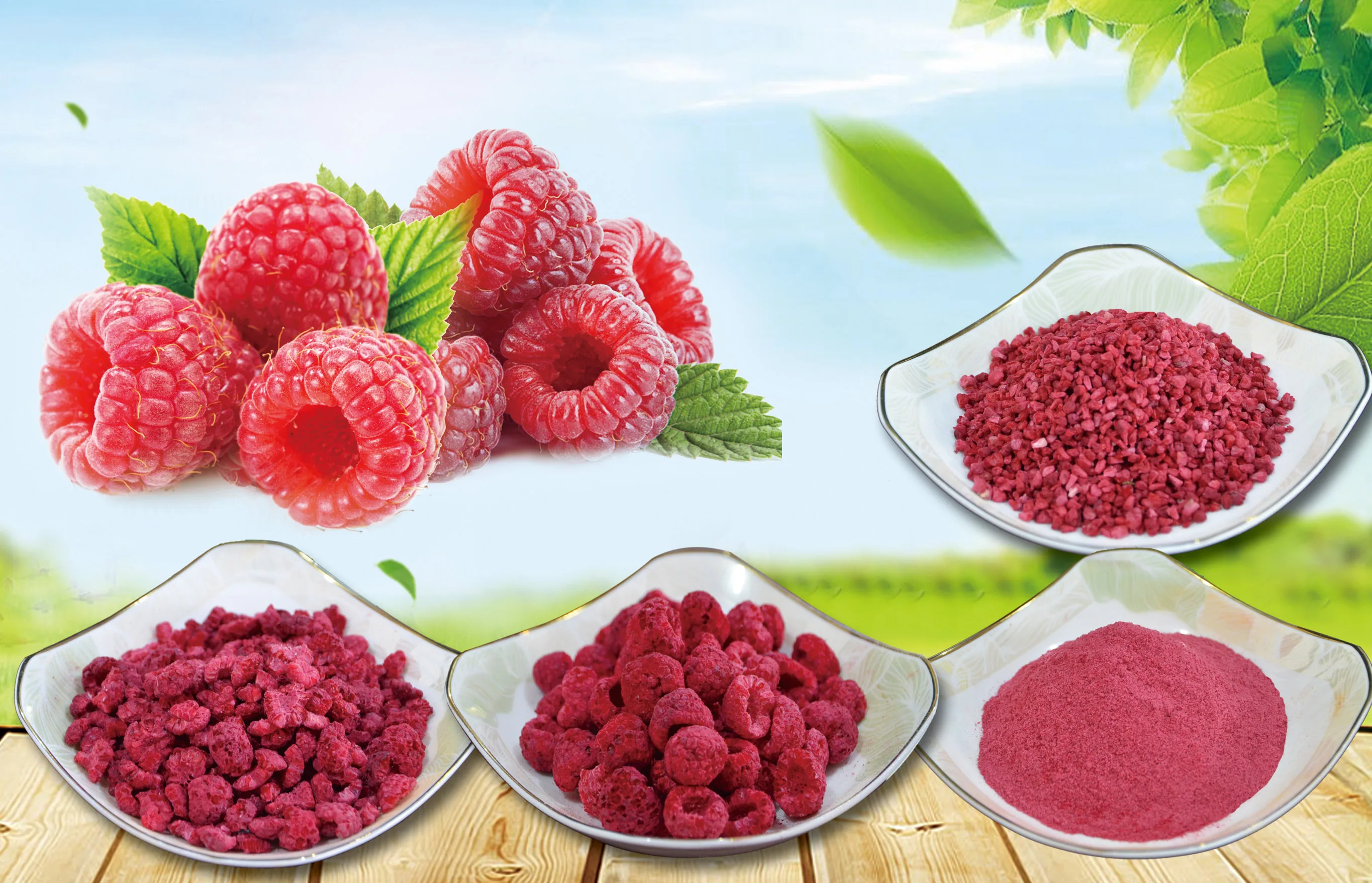 Organic Freeze-Dried Raspberry Snack GMO-Free Whole and diced FD fruits in Powder form preserved with Natural Syrup