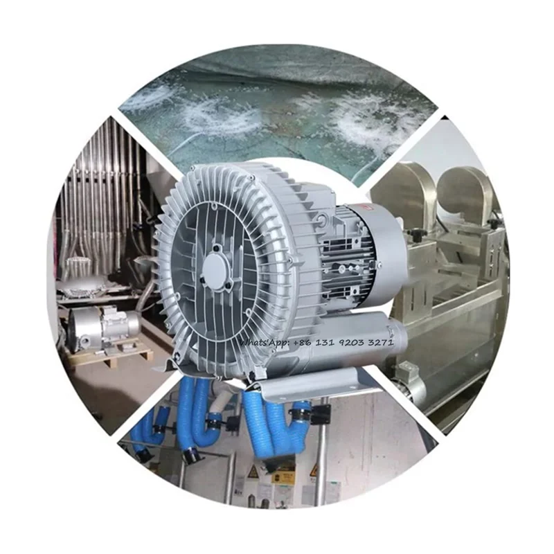 Высокого давления солнечный коллектор/воздушный насос высокого 220/380V 50HZ 0.55KW высокой мощности аэратор для креветок рыбоводческого