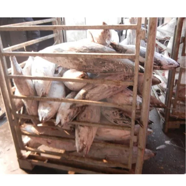 High Quality Whole  Skipjack Skip Jack Tuna Fish