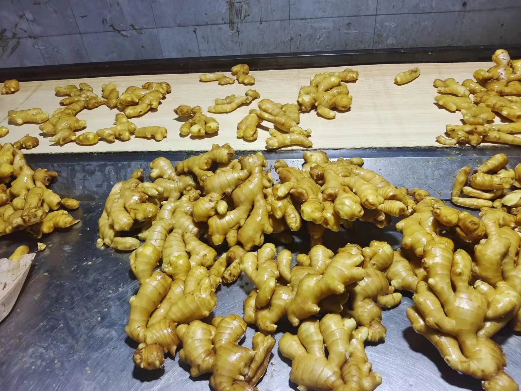 Premium Quality Fresh Ginger Directly Sourced from Origin - Boost Your Health Naturally