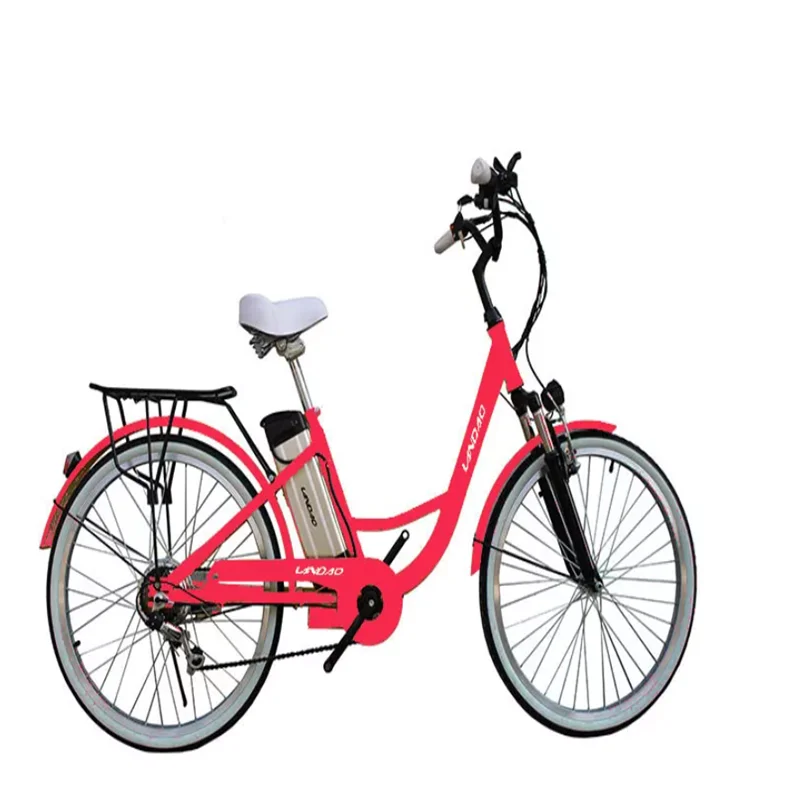 26 Inch Mountain E Bike Mtb E Bike Europe/best Electric Bike for Hills Standard 36V 250W Can Assemble in China and Europe