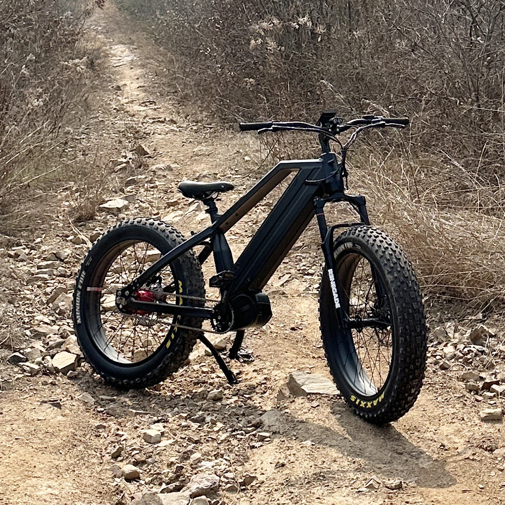 New Arrival Bafang ultra G510 M620 frame mid drive belt e bike electric fat bike 1000w Bafang automatic gear hub 5 speeds ebike