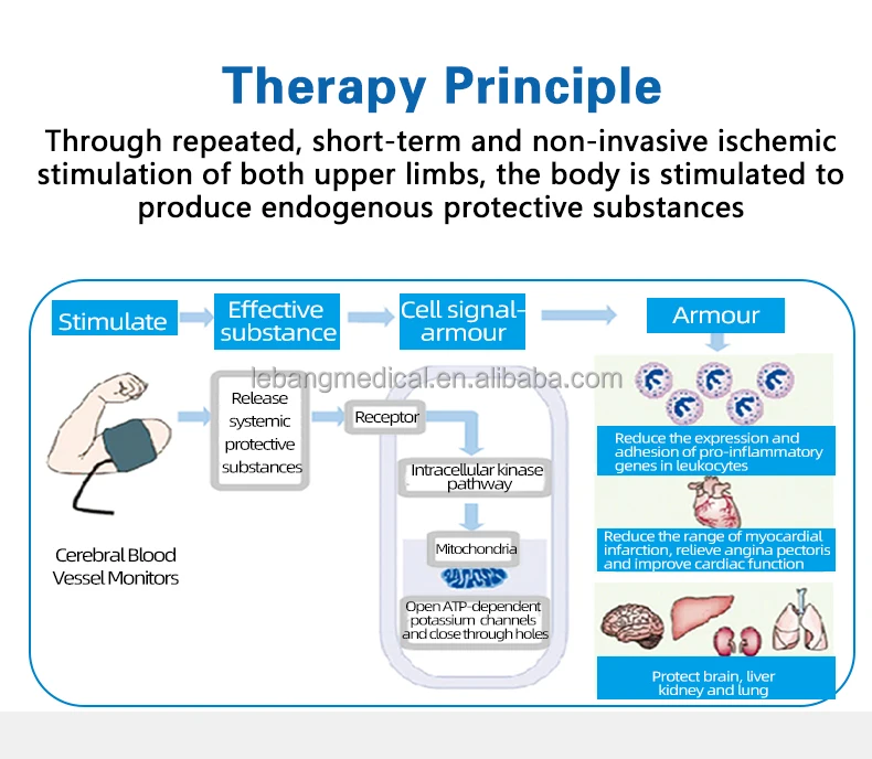 Advanced LCD Arm Ischemic Disease Training Instrument for Vascular Disease Rehabilitation