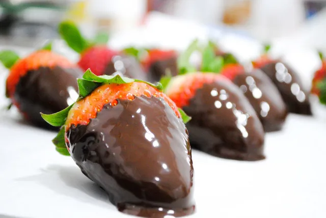 bean to bar chocolate coating machine Mini Chocolate bean making machine