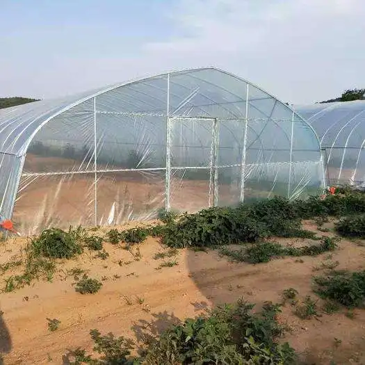 High Quality Single-span Arch Type Tunnel Film