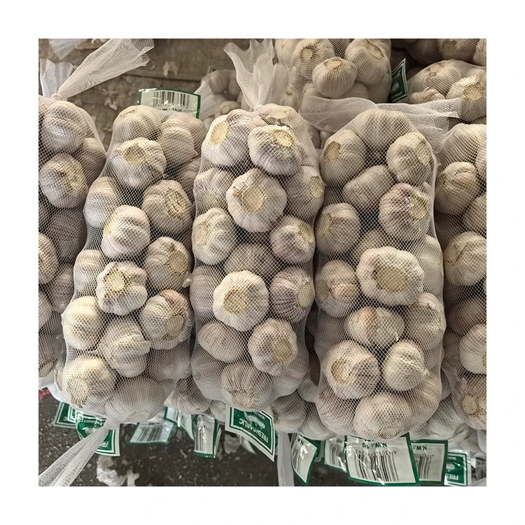 China Fresh Garlic Price Wholesale Price in Shandong Onion Garlic Seeds for Sale Normal White Imported Garlic Fresh
