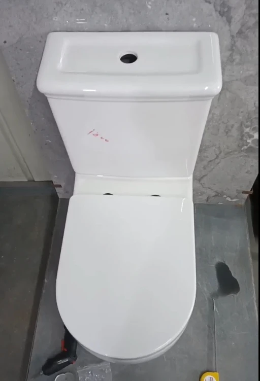 Custom lavatory washroom Casa de Banho modern bathroom ceramic sanitary ware rimless closed couple bowl western toilet wc buy