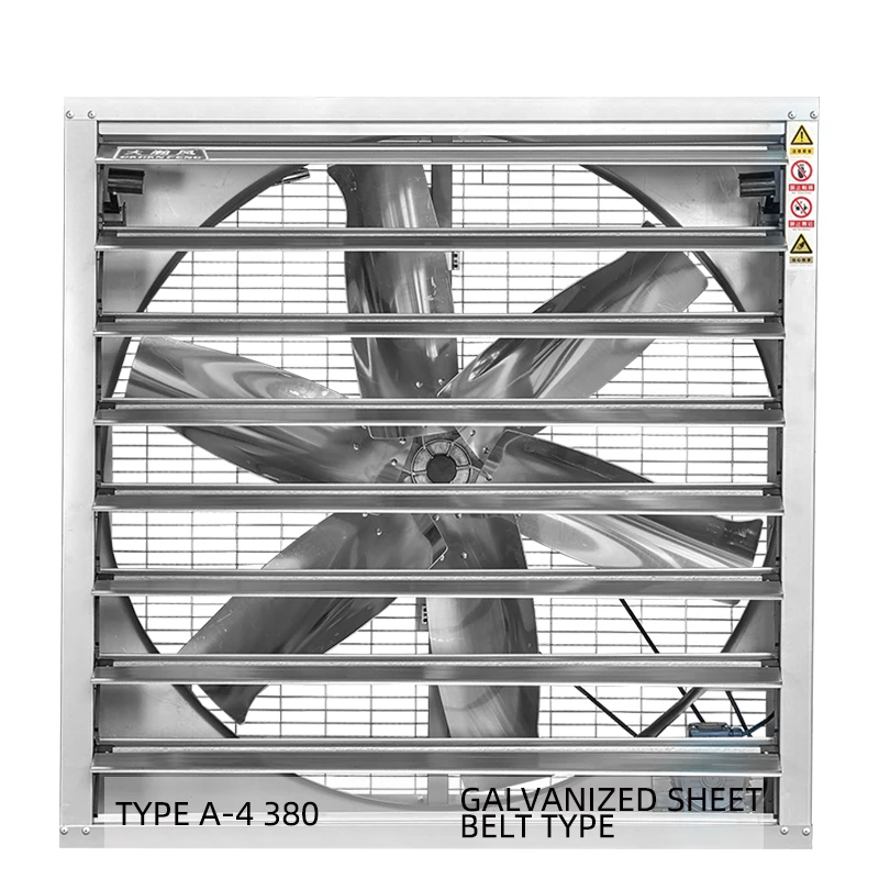 Innovative Design Anti-Rust 380V Industrial Exhaust Fan For Chicken Feeder