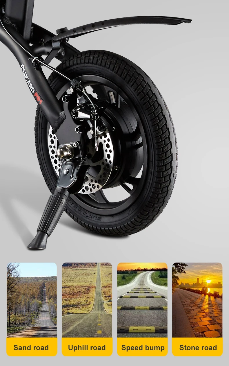 
Germany 12 inch Latest electric bike made in china e-bike for urban road 