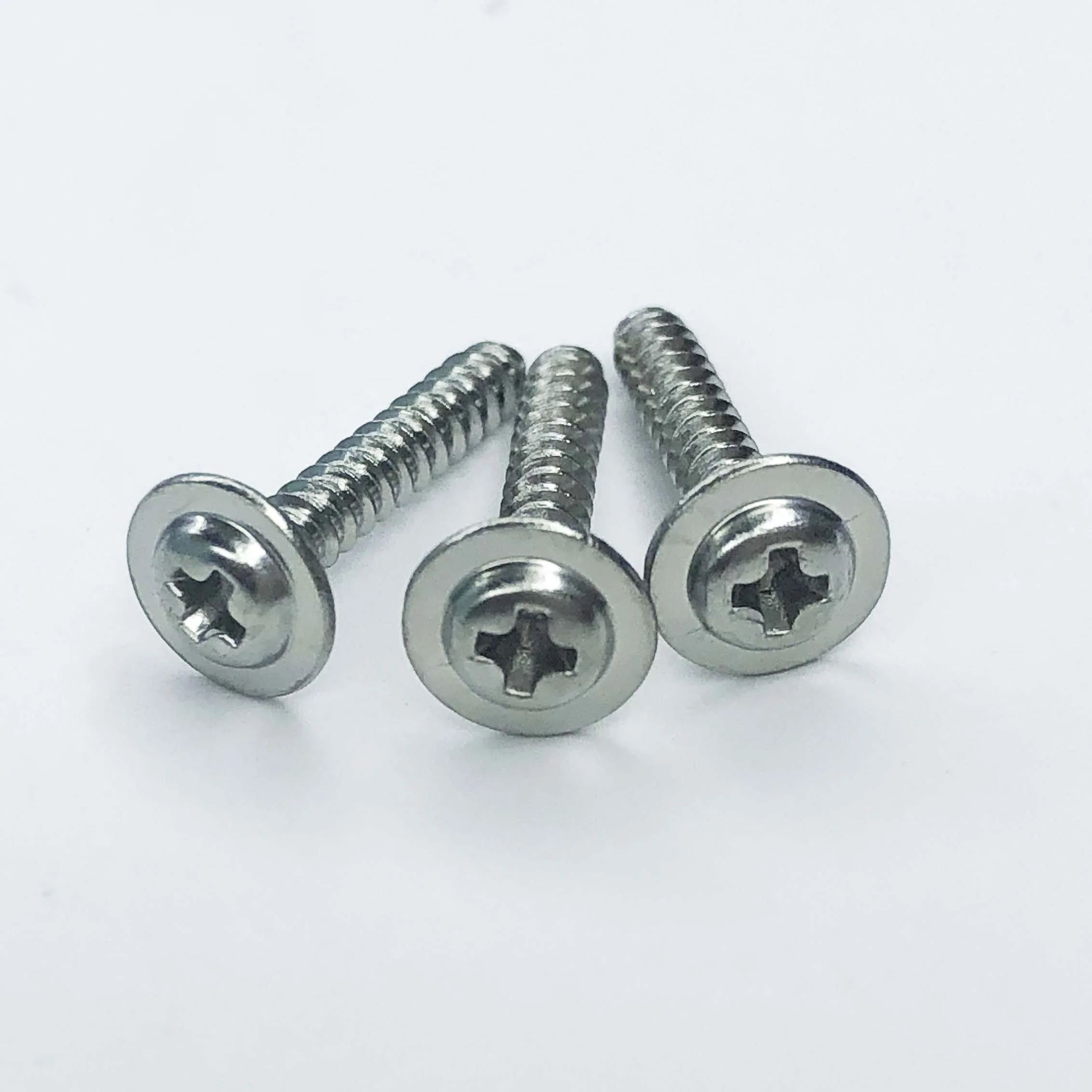 Screw Manufacturer Custom Made SUS304 SUS316 Pan Washer Head Self Tapping Screw Sheet Metal Screws