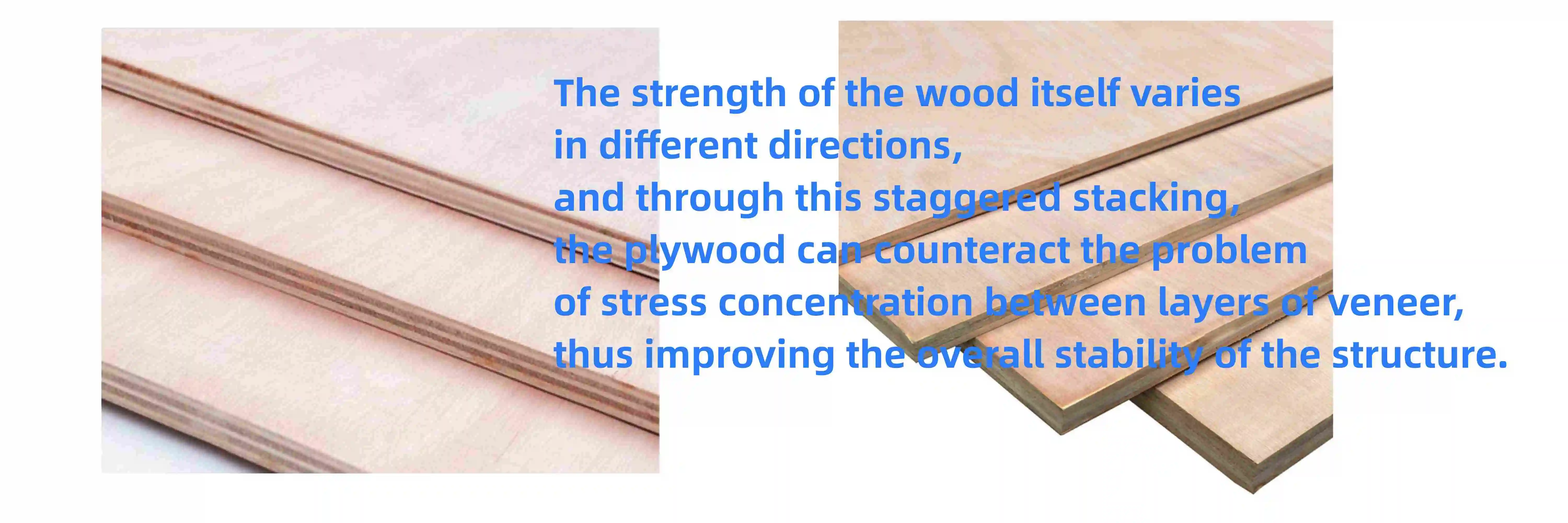 plywood--2.jpg