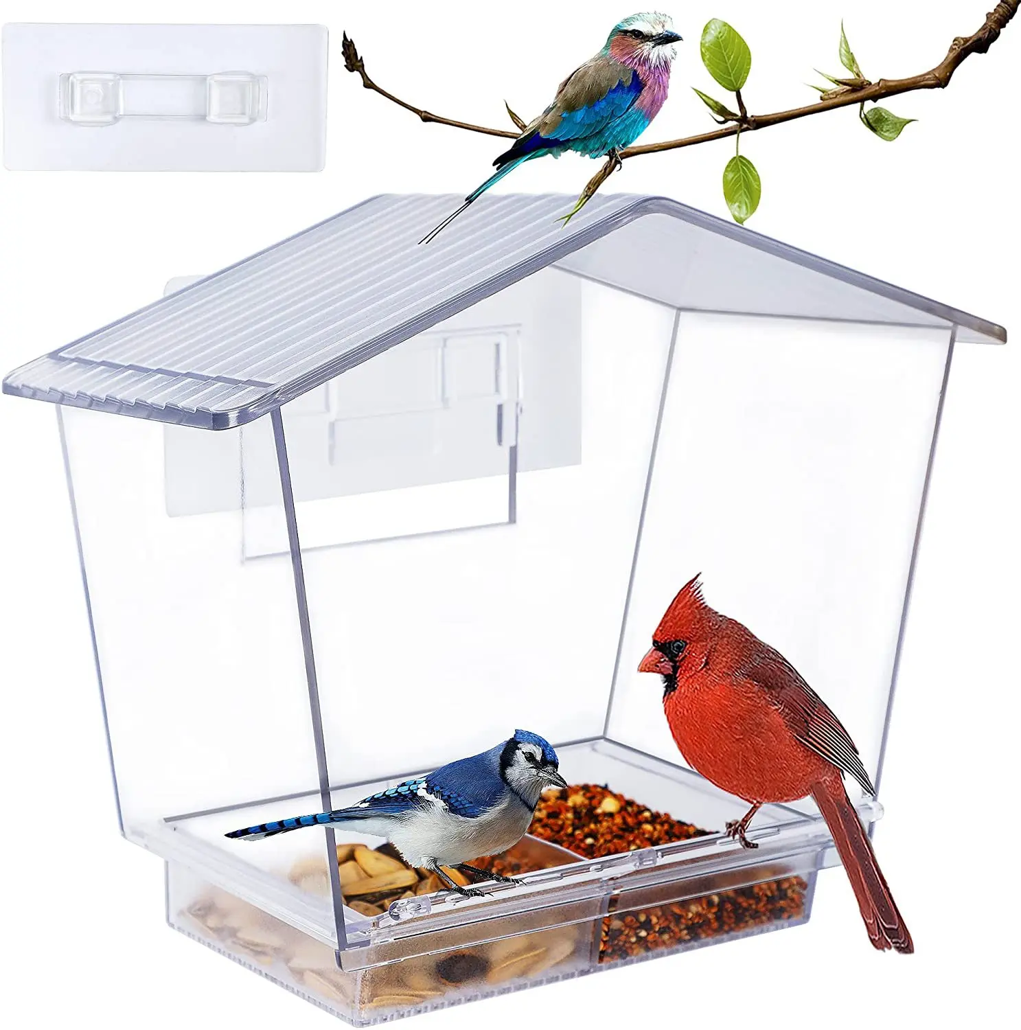 BOCHENG Window Bird Feeder with Sliding Seed Holder Extra Strong Suction Cups for Acrylic Bird Feeder