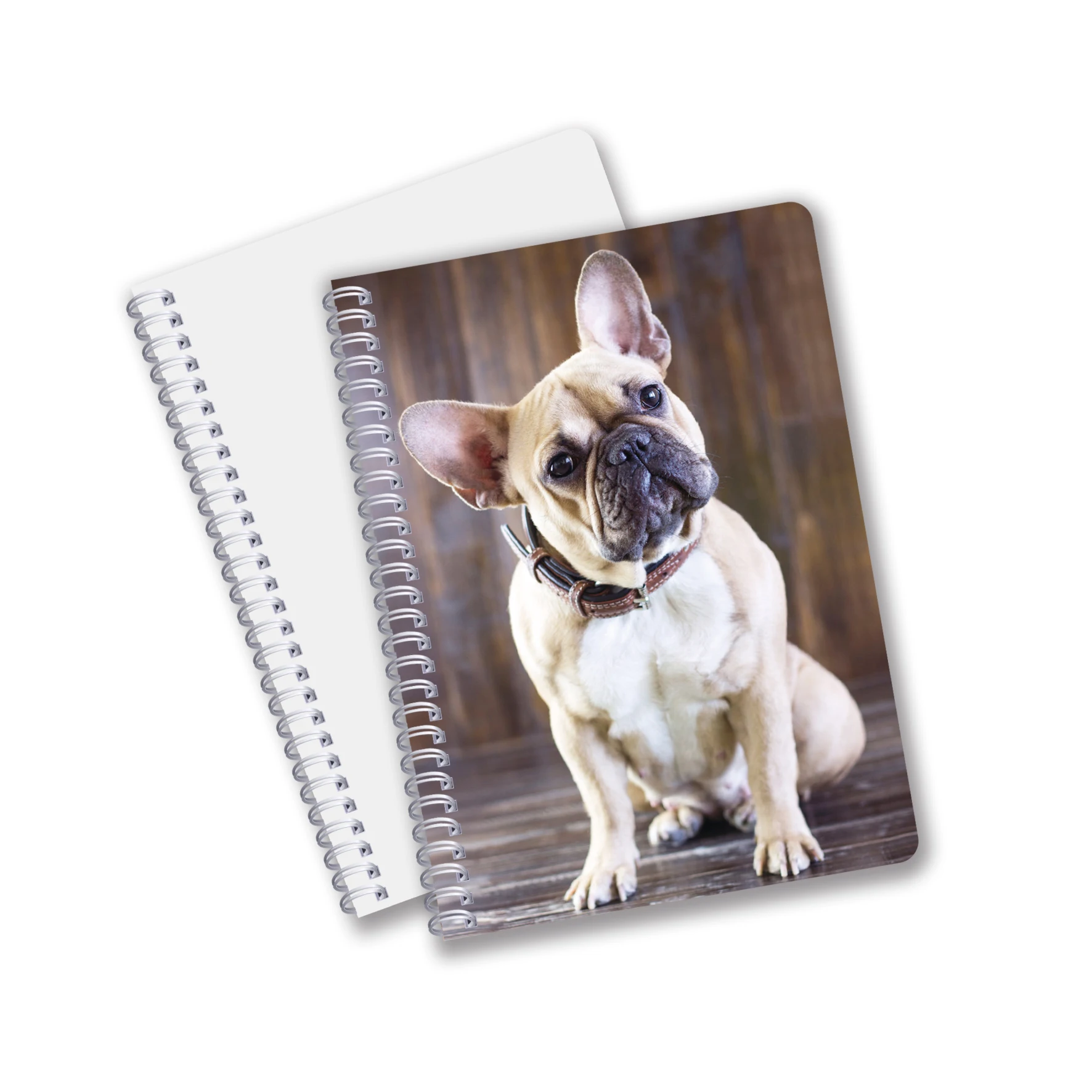 Канцелярские товары дневник тетради формата А4 3D чешуйчатая Обложка знаменитых видов