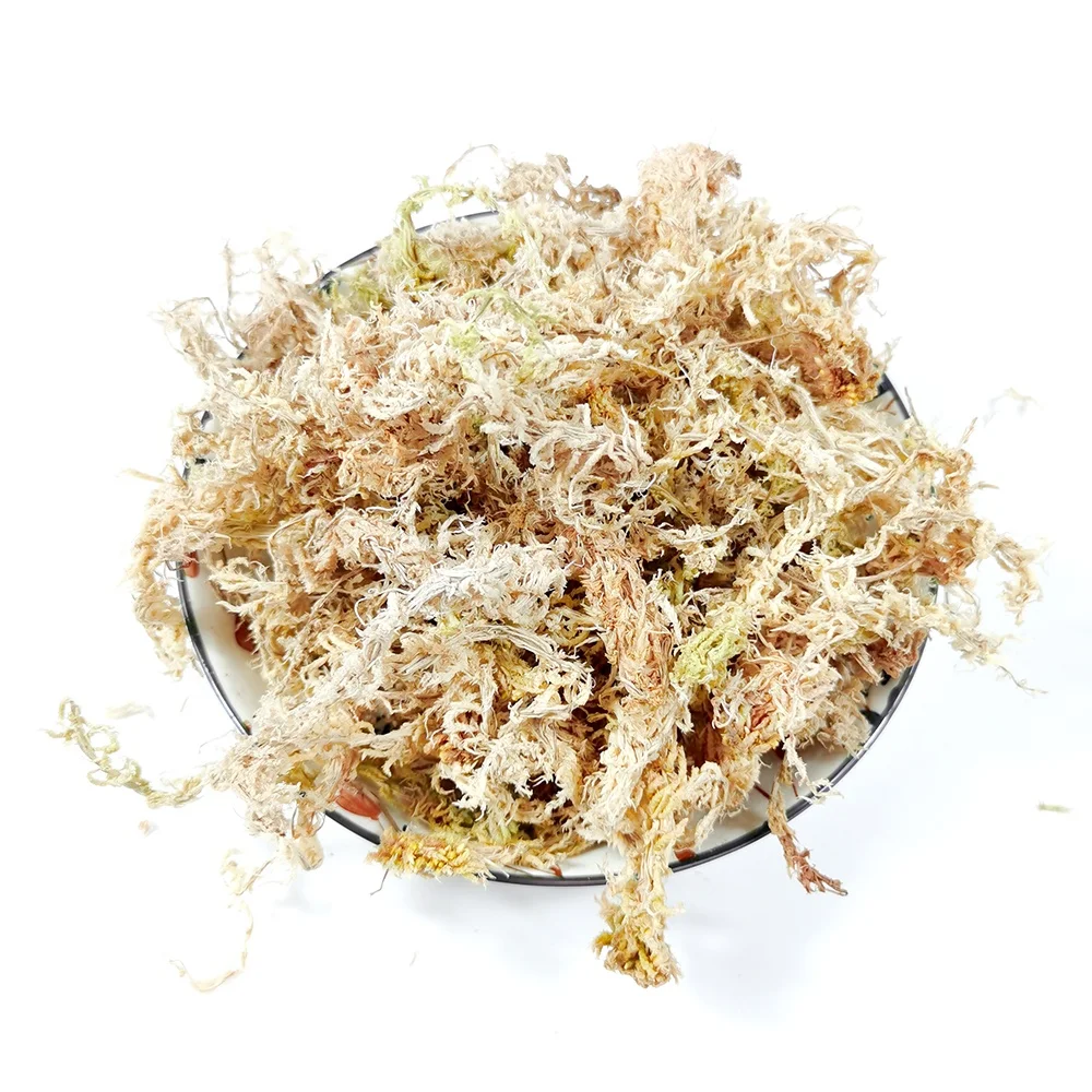 Oem Custom Muschio Natural Preserved Wholesale Peat Moss Green Dried Garden Supplies Sphagnum Peat Moss Dry Sphagnumn Moss