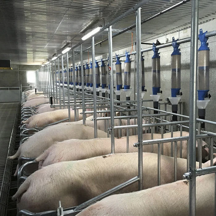 Автоматическая система подачи свиных шнеков, система подачи свиных шнеков