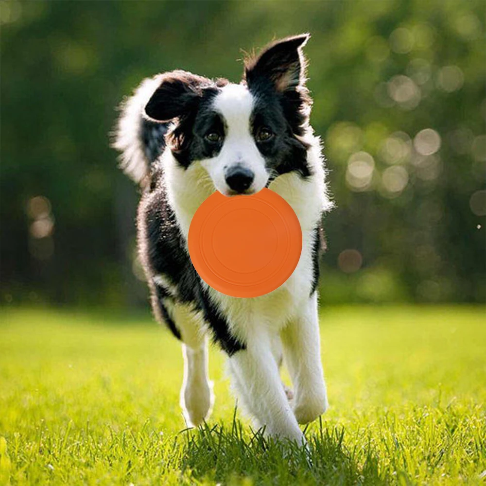 Silicone Custom Logo Pet Portable Bowl Dog Toy Flying Discs Pet Silicone Rubber Flying Discs Dog Flying Disc