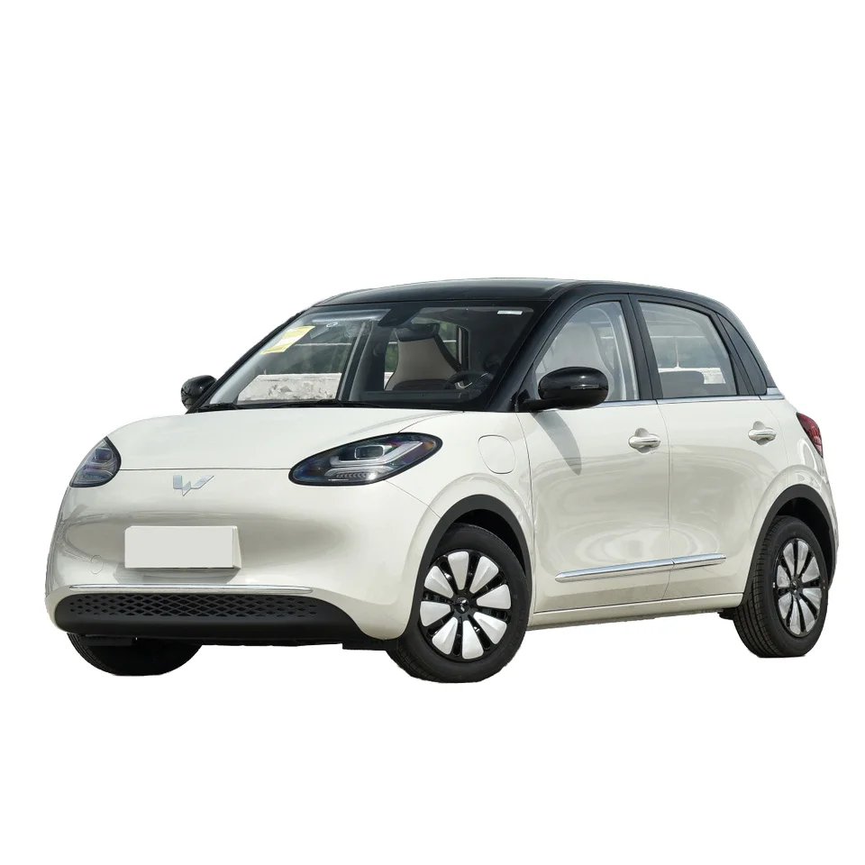 2024 Wuling Binguo EV 5-дверный 4-местный мини-электромобиль экономичный Новый энергетический автомобиль сопоставимый 2023 взрывчатка бинго