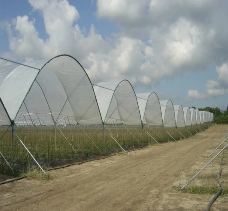 Agricultural product poly tunnel multi-span greenhouses with hydroponic growing system