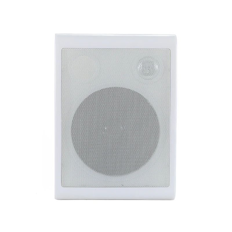 Manufacture Passive Mounted Pa System Wall Mount Speaker for Classroom