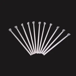 Eco friendly 100% biodegradable corn starch PLA disposable spoon  straw