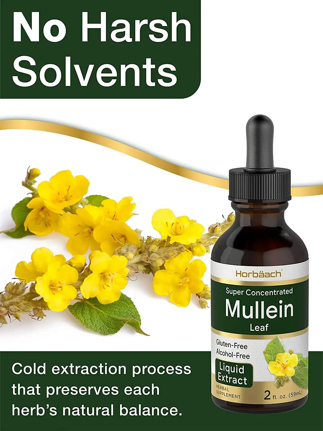 wholesale OEM/ODM Private label Mullein Leaf Liquid Extract 2 fl oz Alcohol Free Vegetarian Non-GMO & Gluten Free Supplement