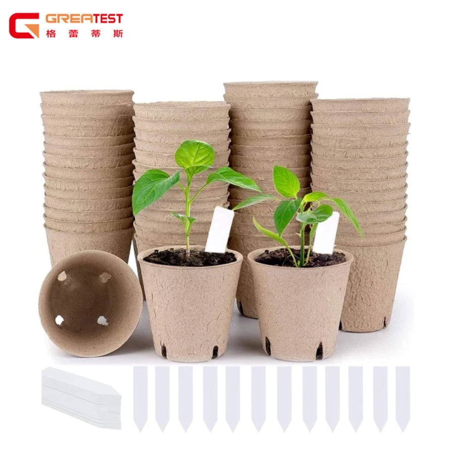 100% Eco-Friendly and Biodegradable Customized Paper Pulp Packaging
