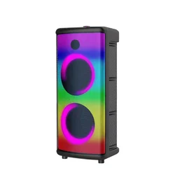 Double 6.5 Inch Karaoke Party Dj Speaker With Display Screen And Two Wireless Mic