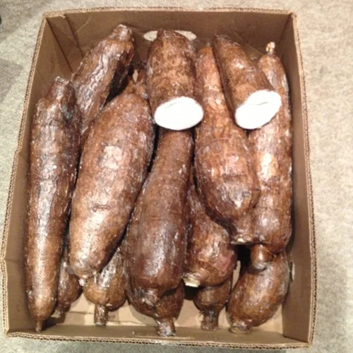 Натуральный белый цвет 5% Max волокна Новый Урожай маниока Yucca корни качество свежий кассава тапиока для спирта