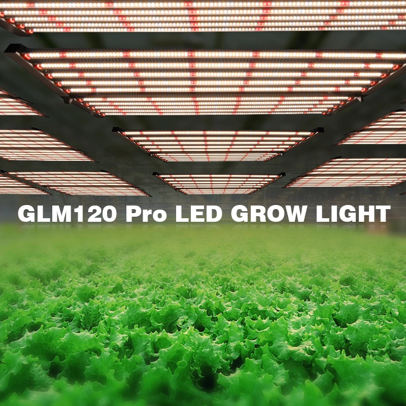 DLC Approved 2.7umol/J Highest Efficacy 1000w Higher than Gavita 1700 pro E and Fluence Spydr Led Grow Light replacing hps 2000w