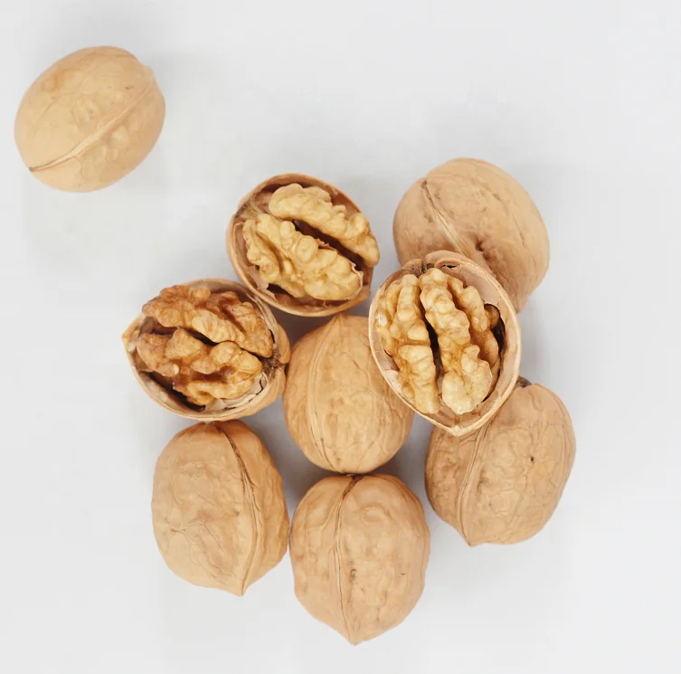 Wholesale Rich in Nutrition Walnut and Price Cheap Walnut in Shell from Xinjiang