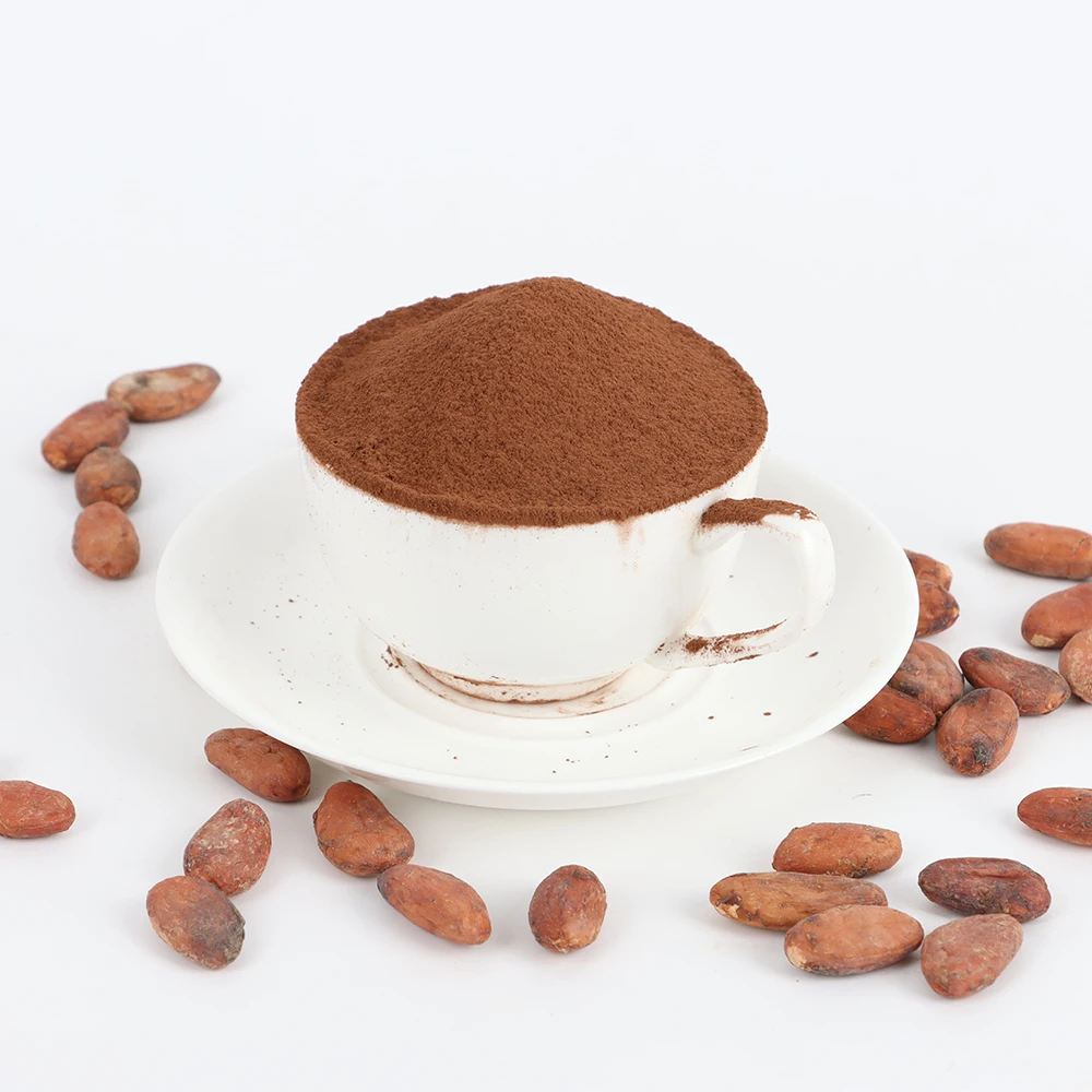 Manufacturer premium Alkalized Cocoa Powder JR02(reddish brown) Supplier made from West Africa cocoa bean Selling