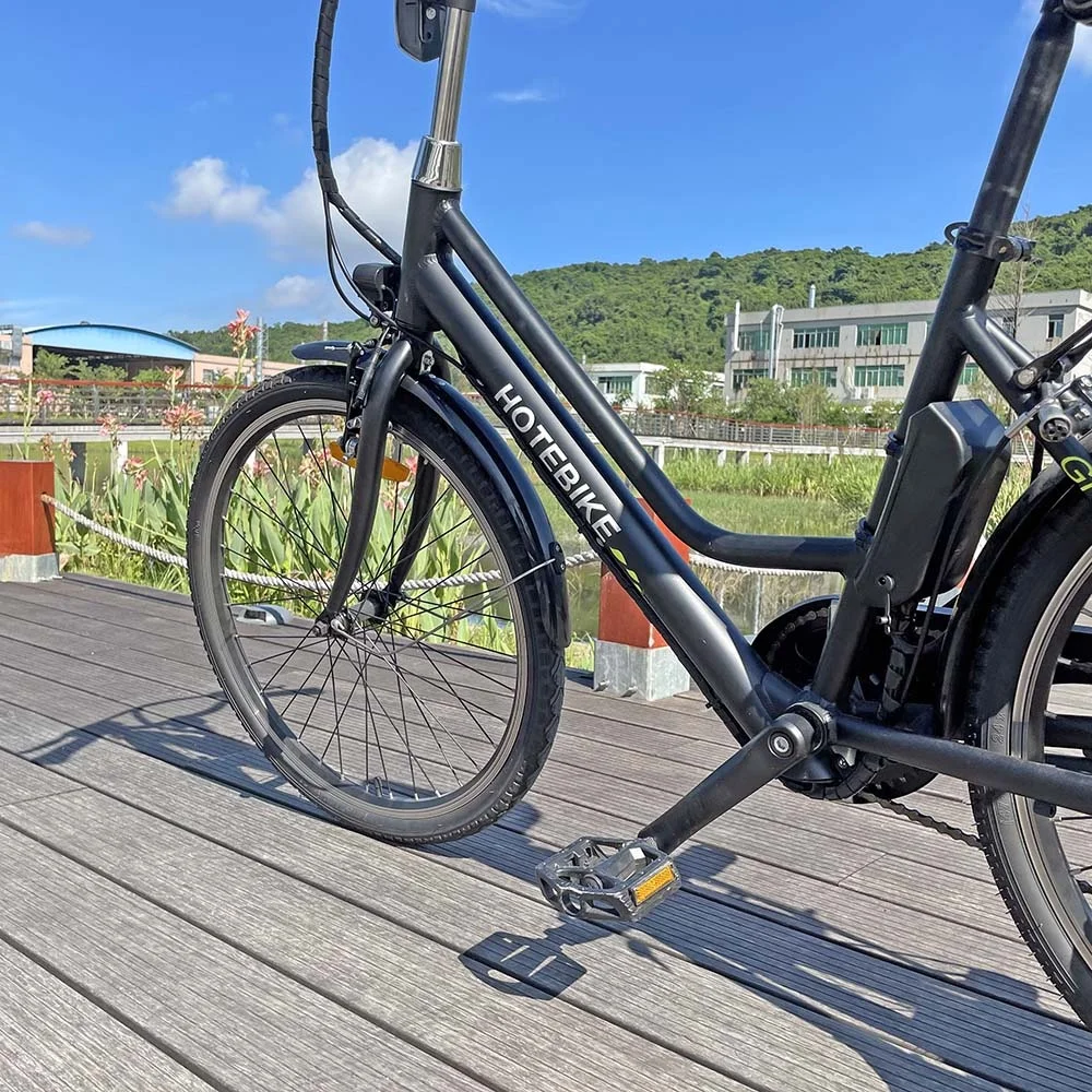 popular 24 volt ebike 1 speed e bicycle electric bike e bike