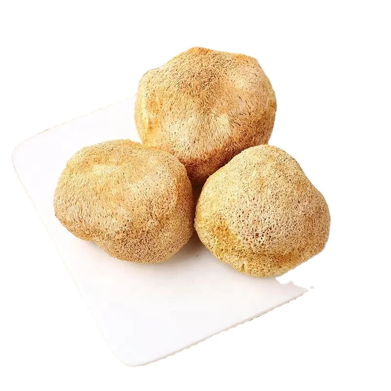 Healthy Food medicinal mushroom Dried Lions Mane Monkey Head Mushroom