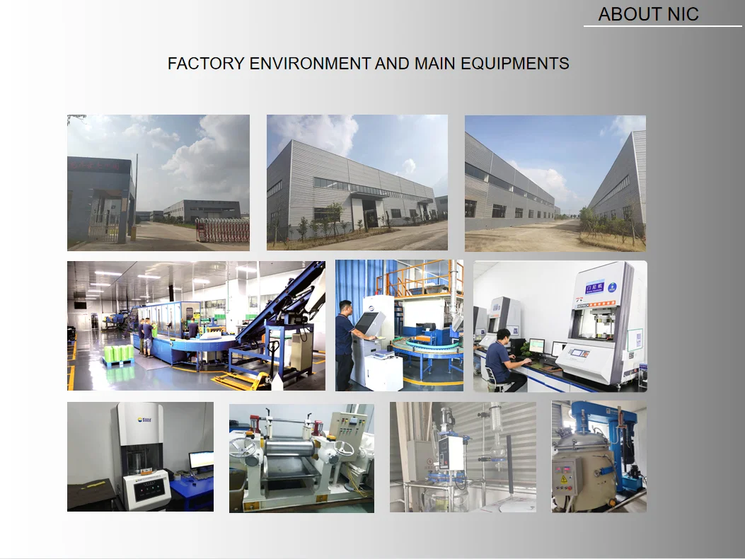 About NIC.png