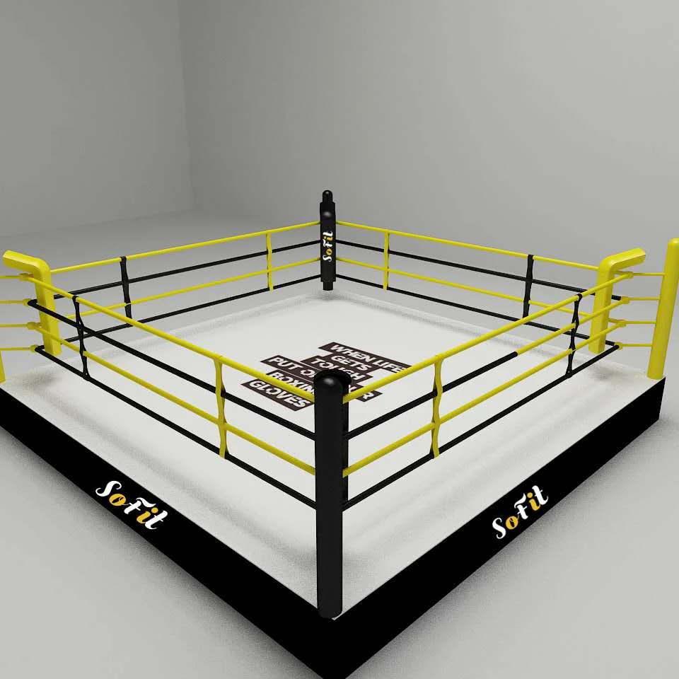 High performance factories in china octagon boxing ring European Standard mat boxing ring size For Sale