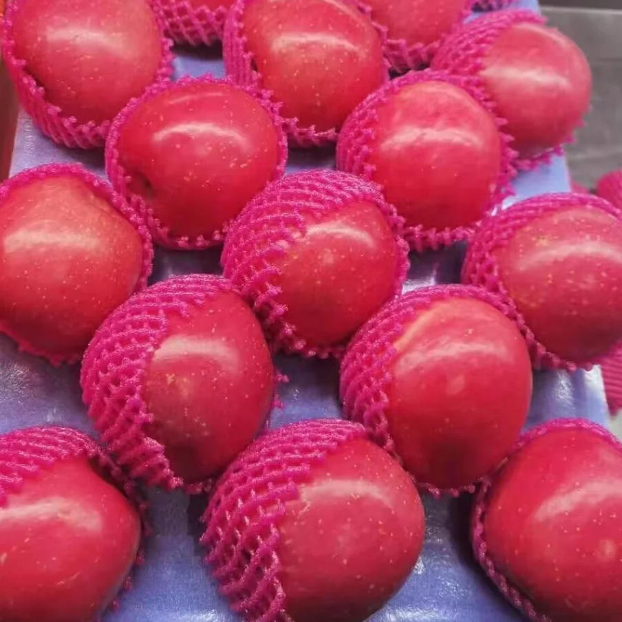 Fuji Apple Fruit Honeycrisp New Export Grade 2019 Crop Fresh Red Top Sweet Style Time Packing September Color Weight Origin Type