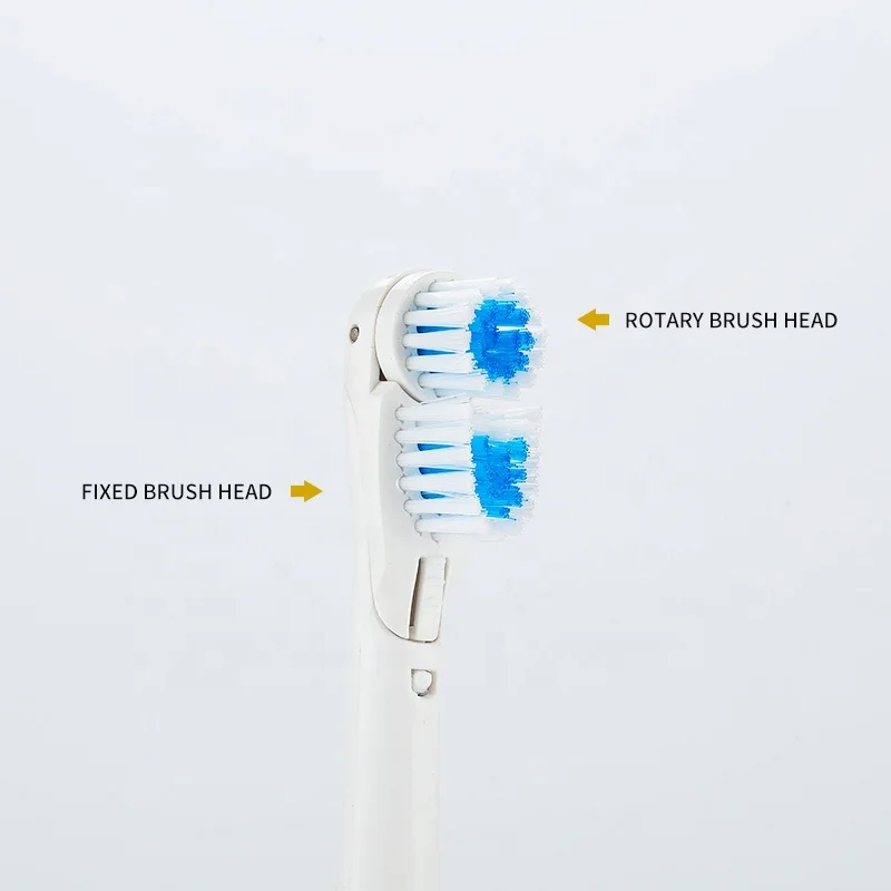 Hot sale cheap high vibration 2 heads soft bristle rotary round head adult electric toothbrush with battery