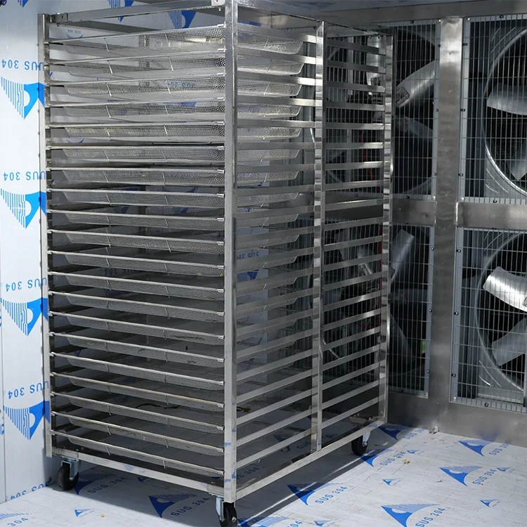 Drying Dry Room Commercial Coconut Sausage Cacao Avocado Grape Meat Electric Drying Chamber Fish Oven Machine For