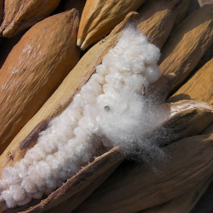 
Hot selling organic raw material manufacturer wholesale filling textile fashion kapok 